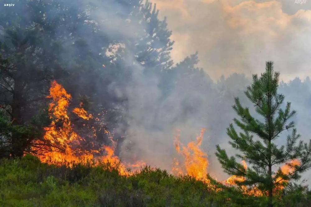 Hatay'da 3 gündür devam eden orman yangını kontrol altında