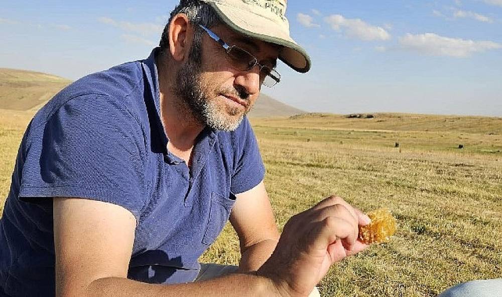 Kafkas Arısı i&ccedil;in alarm zilleri &ccedil;alıyor