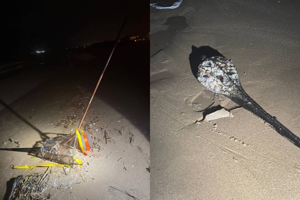 Ordu&rsquo;da kum şırlanı avcılığı yapanlara ceza uygulandı