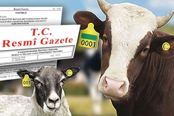 Hayvan k&uuml;peleme sisteminde yeni d&ouml;nem... Karekod geliyor, il kodlu k&uuml;pelerin s&uuml;resi uzatıldı