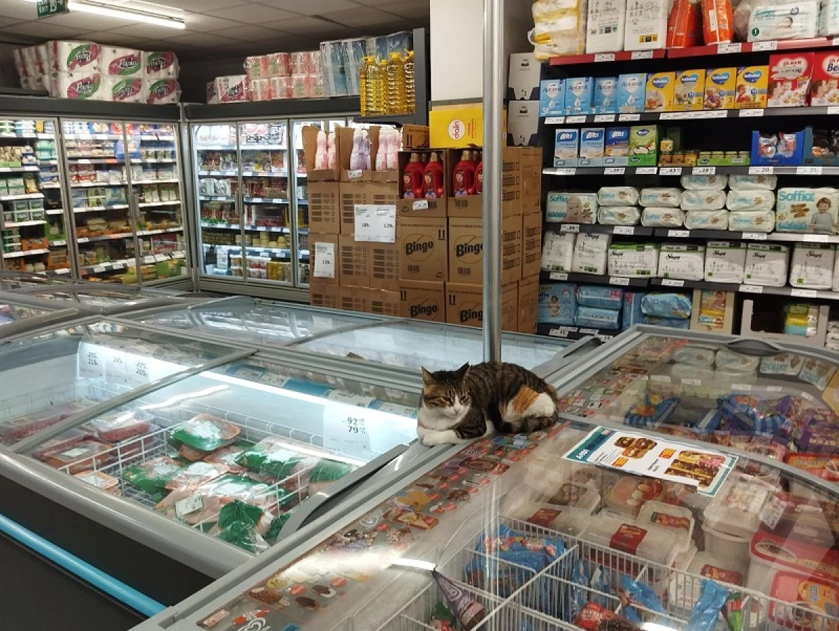 İstanbul Küçükçekmece’de A101 Marketinde Hijyen Sorunu!